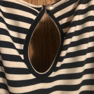 Navy and White Lane Bryant Dress